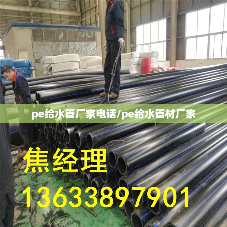 计量泵/计量泵厂家