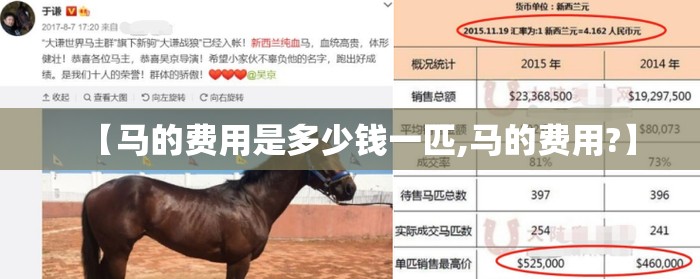 【pe膜防水多少钱一平方,pe防水膜是什么材料】