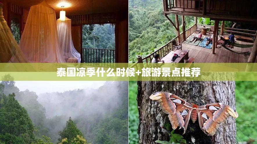 【马的费用是多少钱一匹,马的费用?】