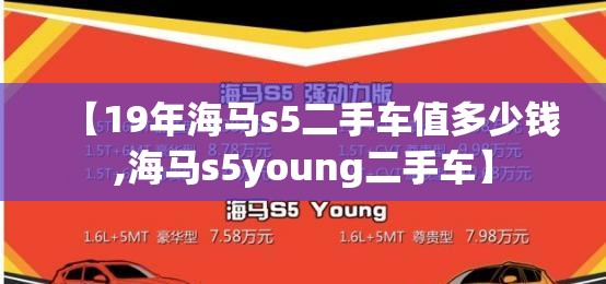 【19年海马s5二手车值多少钱,海马s5young二手车】