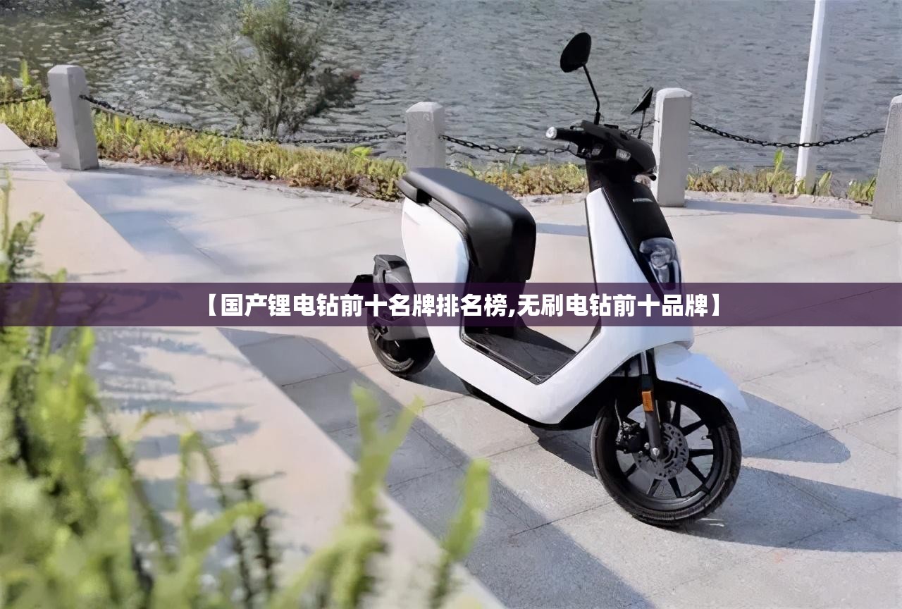 【国产锂电钻前十名牌排名榜,无刷电钻前十品牌】