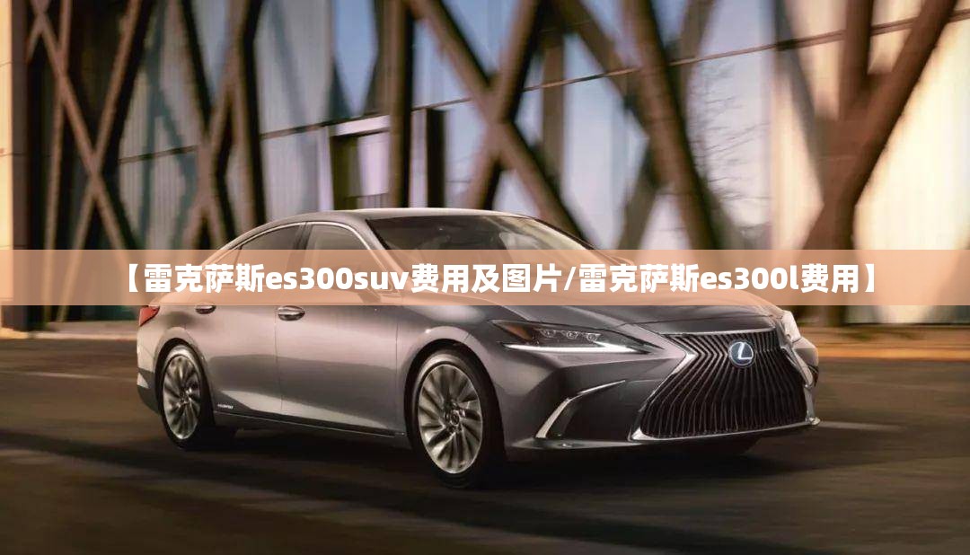 【雷克萨斯es300suv费用及图片/雷克萨斯es300l费用】