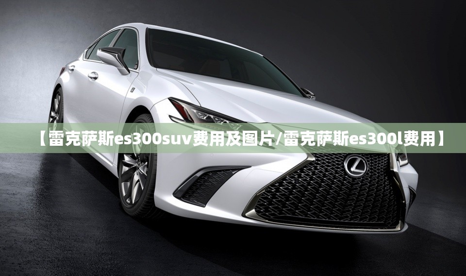 hiphi是什么牌子的车（hiphix汽车是哪个国家）