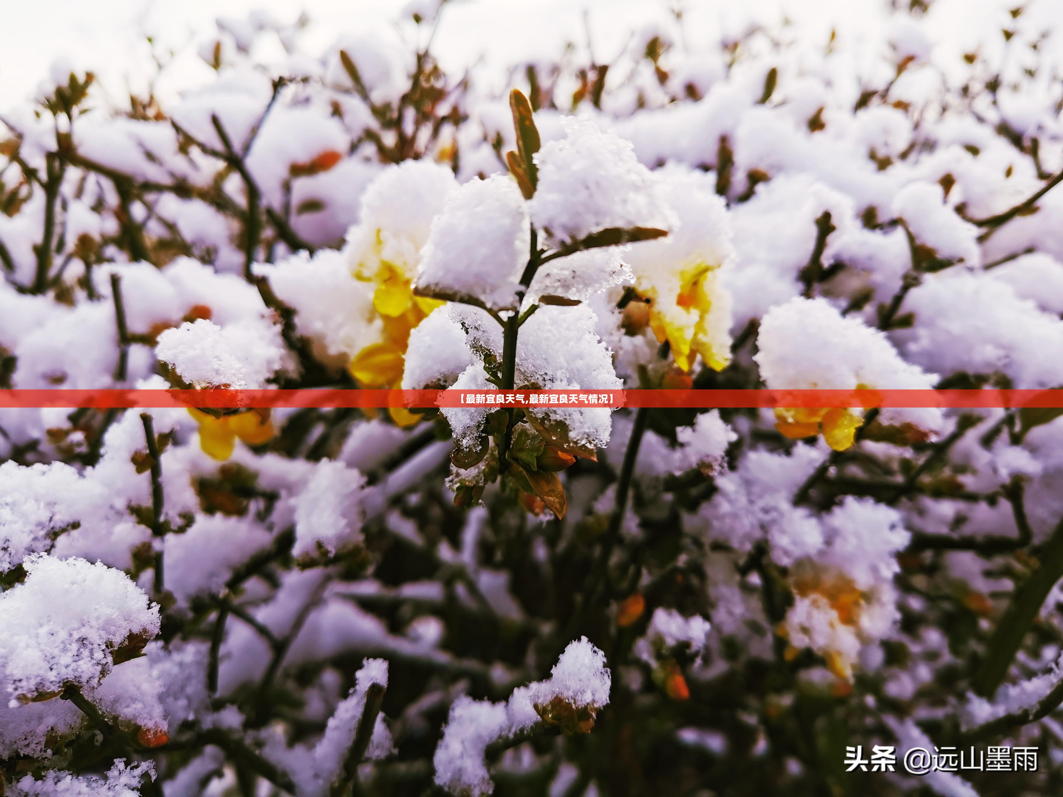 【最新宜良天气,最新宜良天气情况】