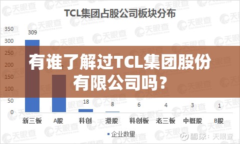 有谁了解过TCL集团股份有限公司吗？