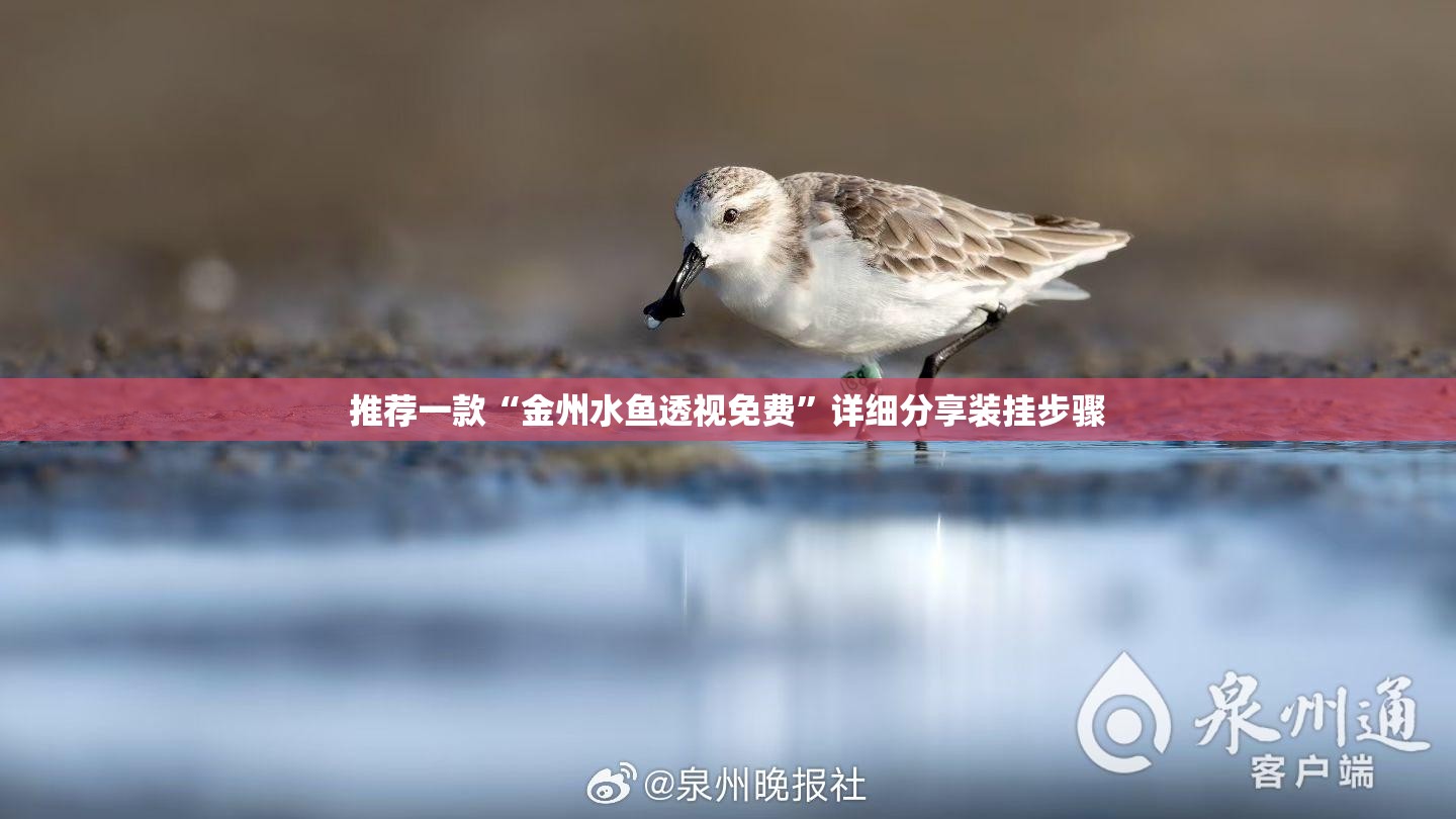 推荐一款“金州水鱼透视免费	”详细分享装挂步骤