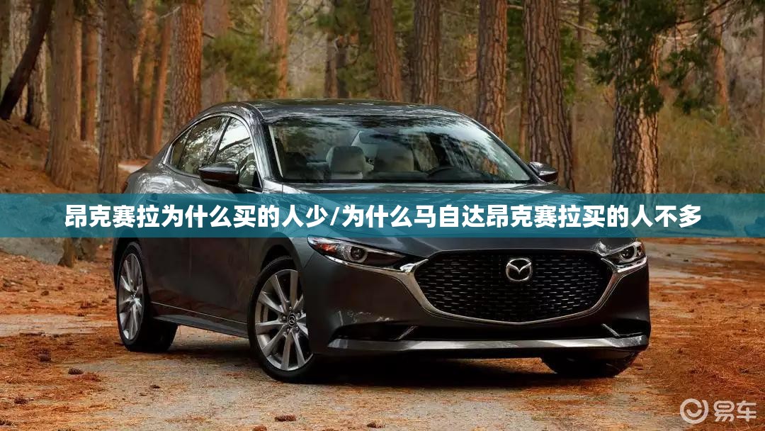 辅助最新信息“衡阳丫丫竞技究竟有挂吗”原来可以开挂