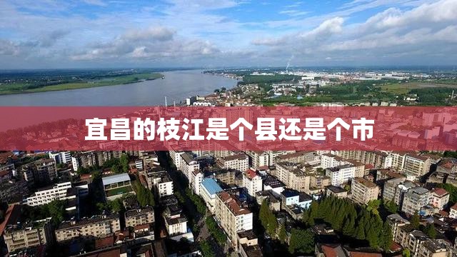 万能开挂辅助“牌友竞技怎么开挂”详细辅助教程分享