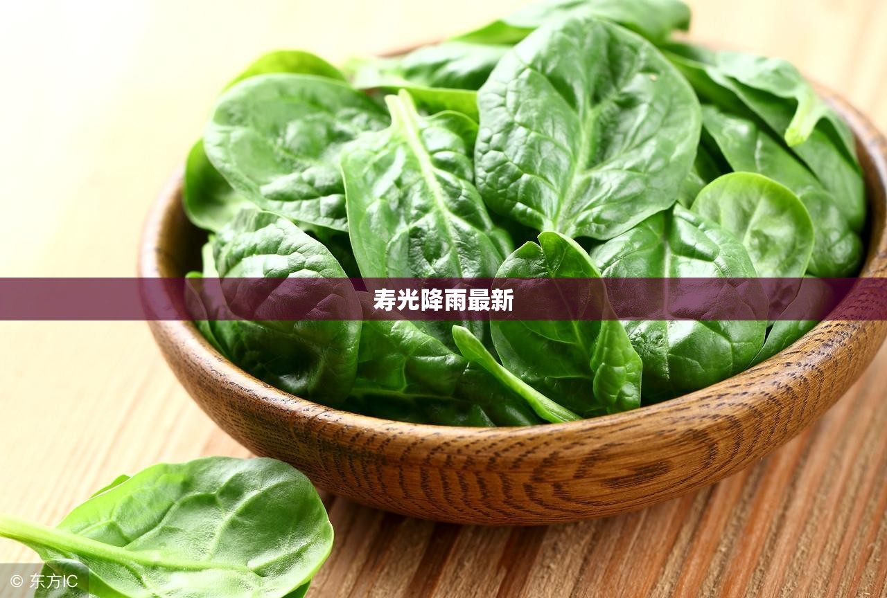 【寿光降雨最新,寿光这次降了多少雨】