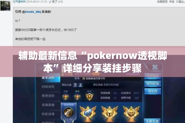 辅助最新信息“pokernow透视脚本”详细分享装挂步骤