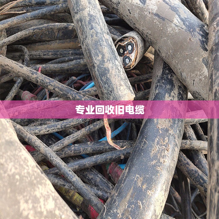 【专业回收旧电缆/专业回收旧电缆线电话】