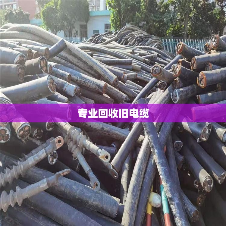 【专业回收旧电缆/专业回收旧电缆线电话】