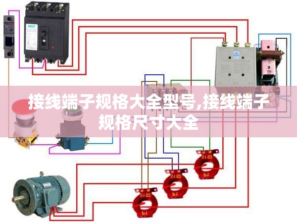 接线端子规格大全型号,接线端子规格尺寸大全