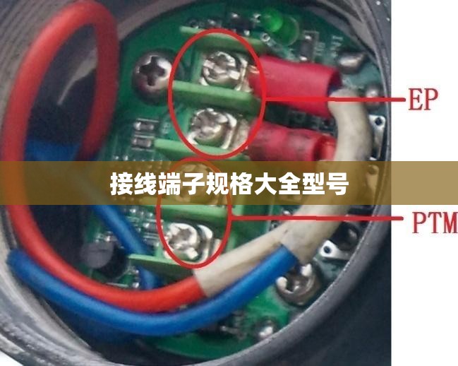接线端子规格大全型号,接线端子规格尺寸大全