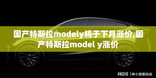 国产特斯拉modely将于下月涨价,国产特斯拉model y涨价