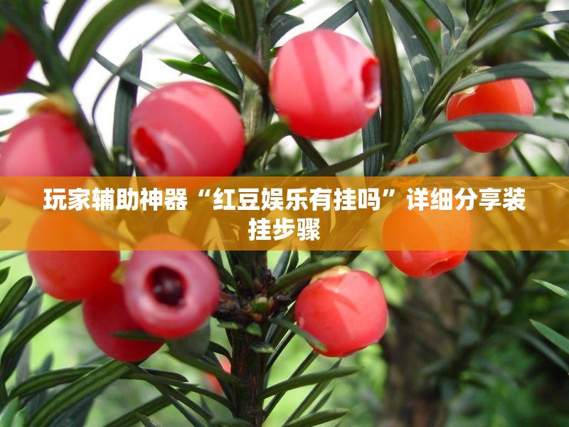 玩家辅助神器“红豆娱乐有挂吗	”详细分享装挂步骤