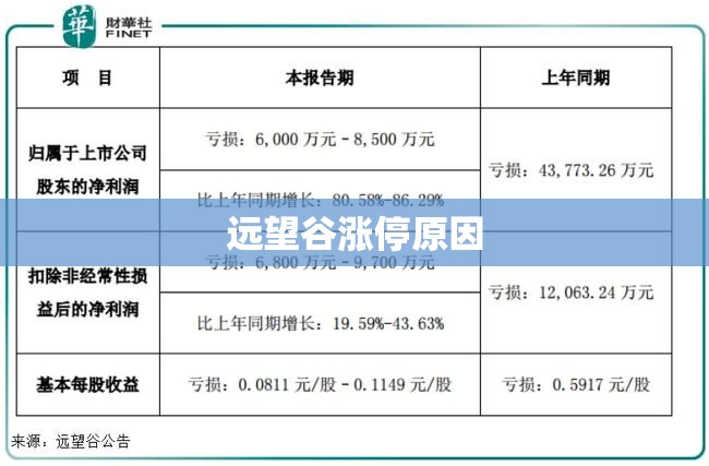 远望谷涨停原因