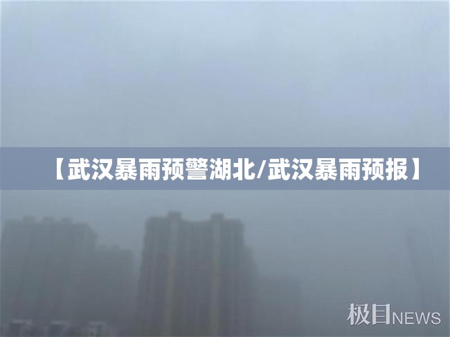 【武汉暴雨预警湖北/武汉暴雨预报】
