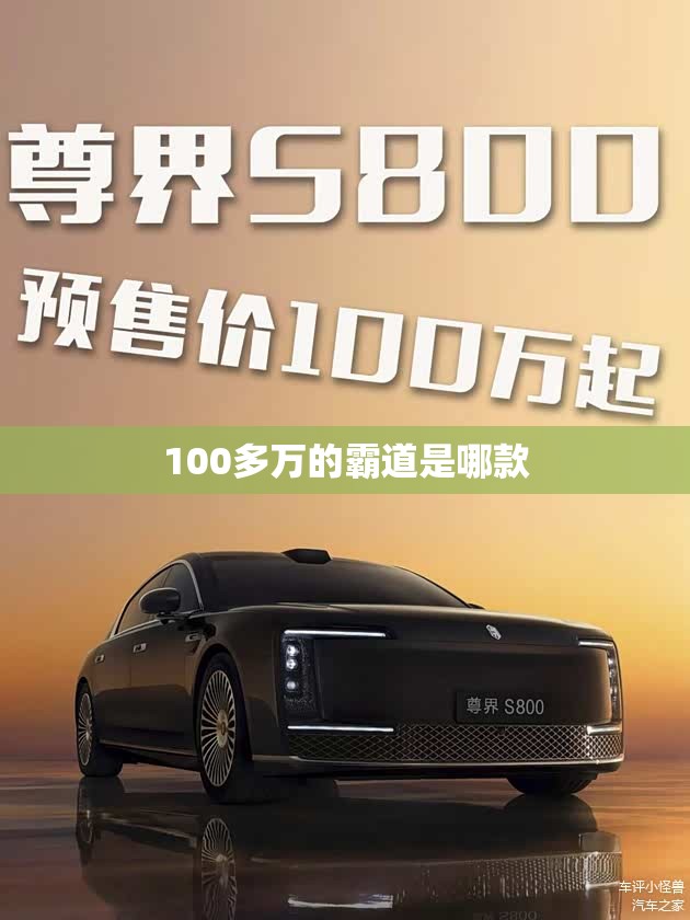100多万的霸道是哪款
