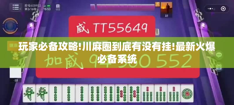 玩家辅助神器“红豆娱乐有挂吗”详细分享装挂步骤
