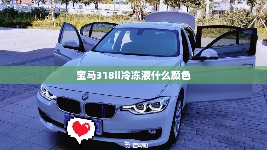 辅助教程分享“乐总统可以开挂吗(必备神器)”其实真的确实有挂