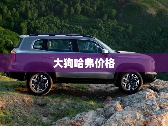 玩家辅助神器:大头大菠萝有没有卖的挂”详细辅助教程分享