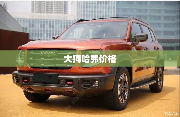 大狗哈弗费用,大狗哈弗费用20t