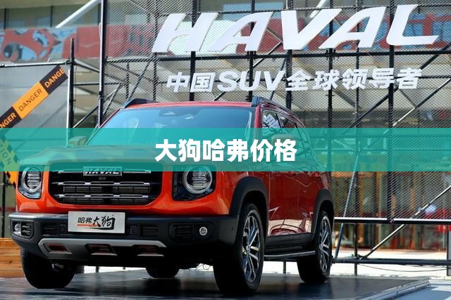 大狗哈弗费用,大狗哈弗费用20t