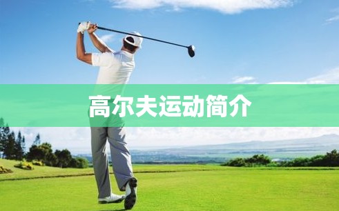 高尔夫运动简介（高尔夫概述）