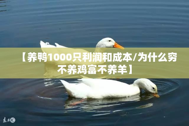 【一汽大众车型及费用表揽境/一汽大众suv新款揽境报价】