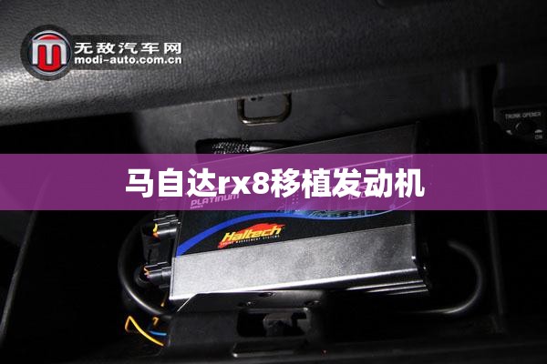 安装程序教程“方片十三张辅助”辅助透视教程