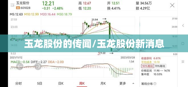 玉龙股份的传闻/玉龙股份新消息