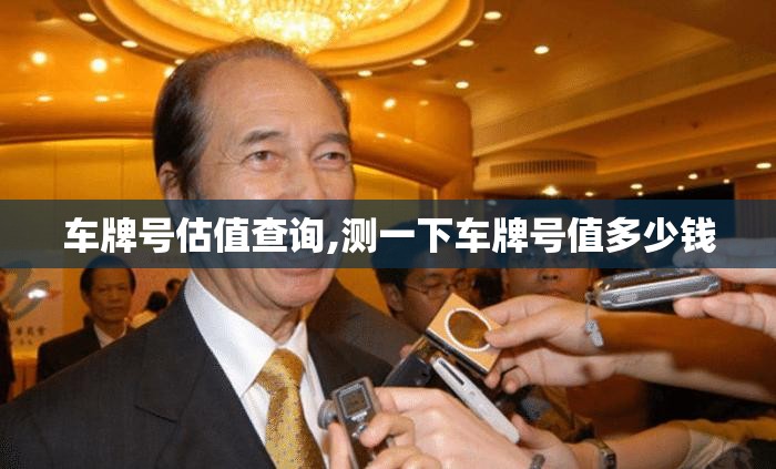 车牌号估值查询,测一下车牌号值多少钱