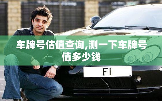 车牌号估值查询,测一下车牌号值多少钱