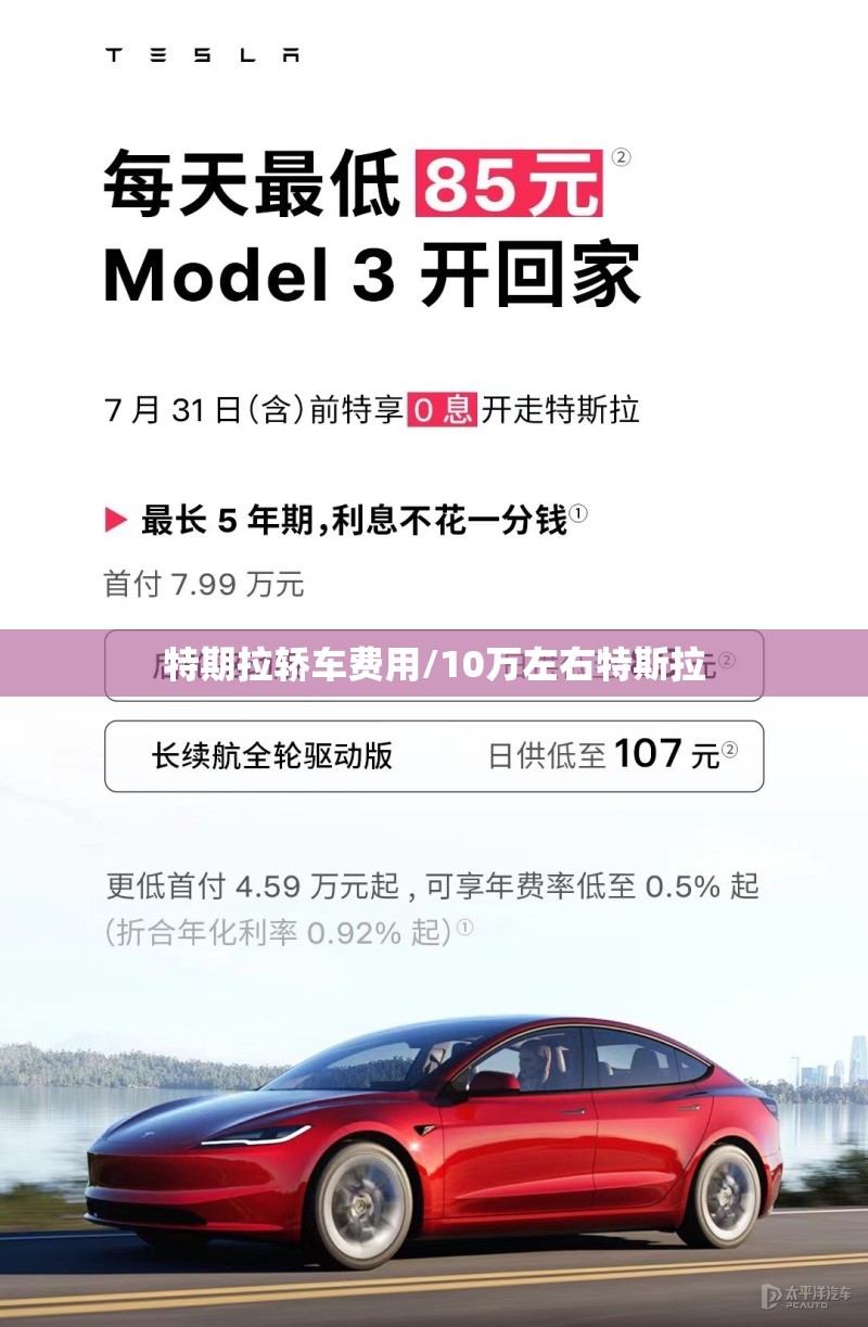特期拉轿车费用/10万左右特斯拉