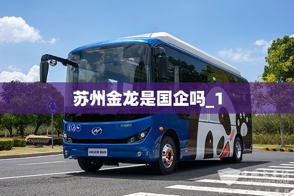 苏州金龙是国企吗_1