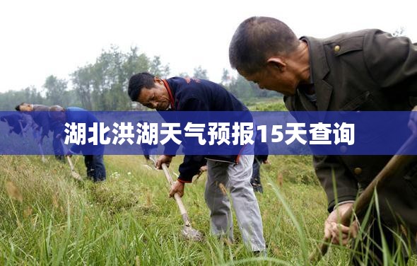 玩家必备攻略!中闽棋牌有挂吗”【透视软件教程分享】