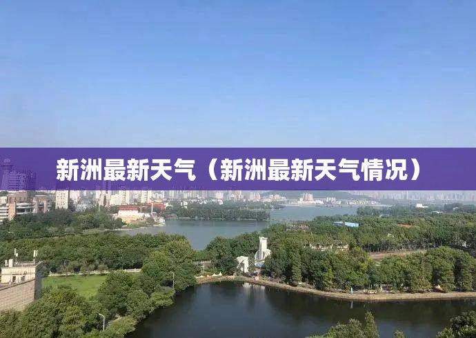 新洲最新天气(新洲最新天气情况) 新洲最新天气(新洲最新天气情况)