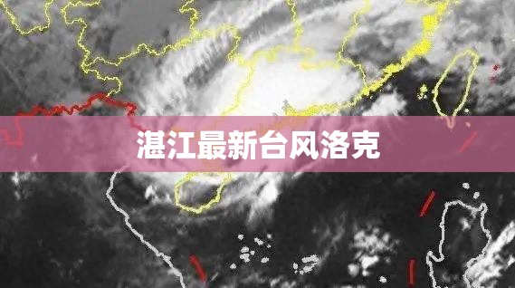 湛江最新台风洛克（湛江台风实时）