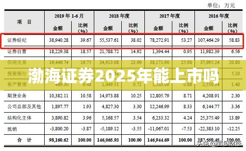 渤海证券2025年能上市吗/渤海证券21年能上市吗