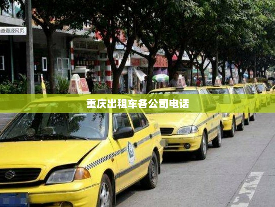 宁阳天气预报一周七天