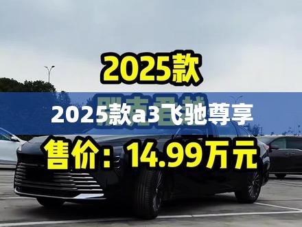 【2025款a3飞驰尊享,飞驰30t】