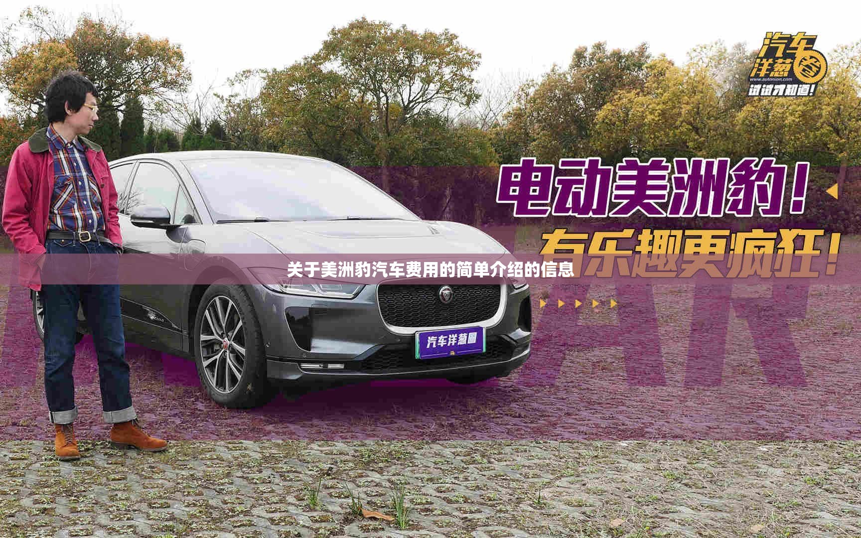 关于美洲豹汽车费用的简单介绍的信息 关于美洲豹汽车费用的简单介绍的信息