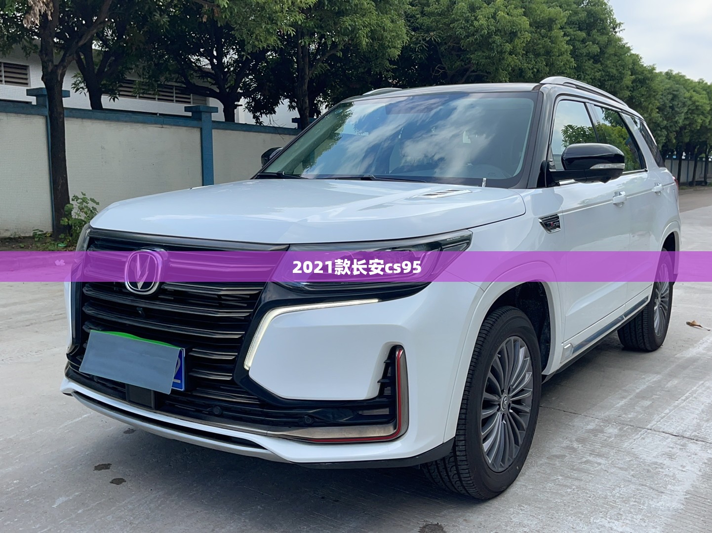【2021款长安cs95,2021款长安cs95两驱黑色】