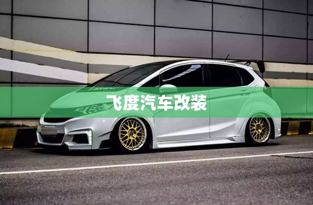 飞度汽车改装,飞度改装案例 一万元