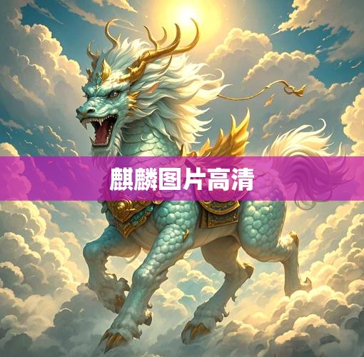 飞度汽车改装,飞度改装案例 一万元