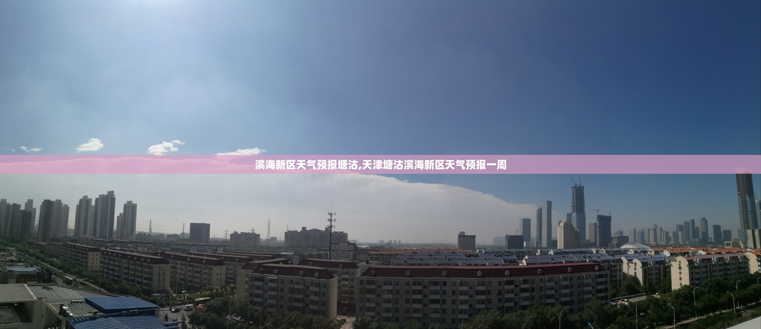 滨海新区天气预报塘沽,天津塘沽滨海新区天气预报一周