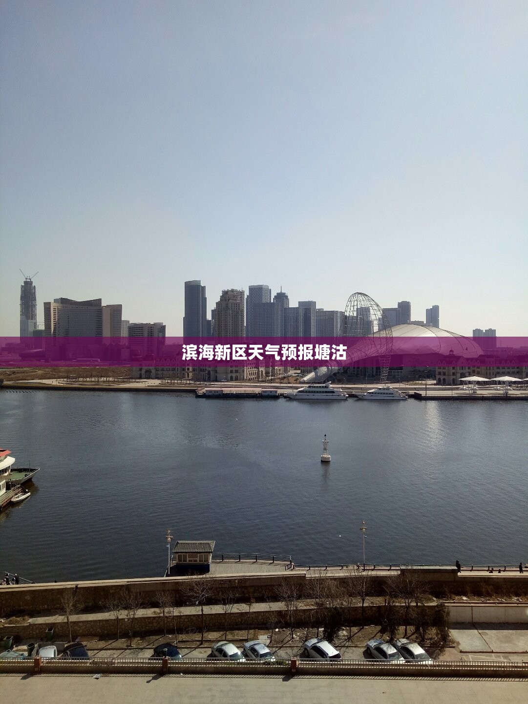 滨海新区天气预报塘沽,天津塘沽滨海新区天气预报一周