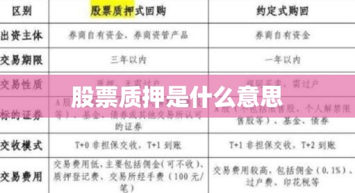【股票质押是什么意思,股票质押是什么意思是好是坏】