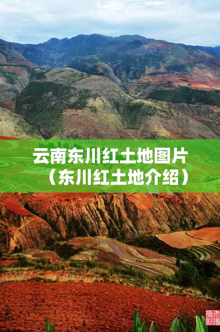 云南东川红土地图片（东川红土地介绍）